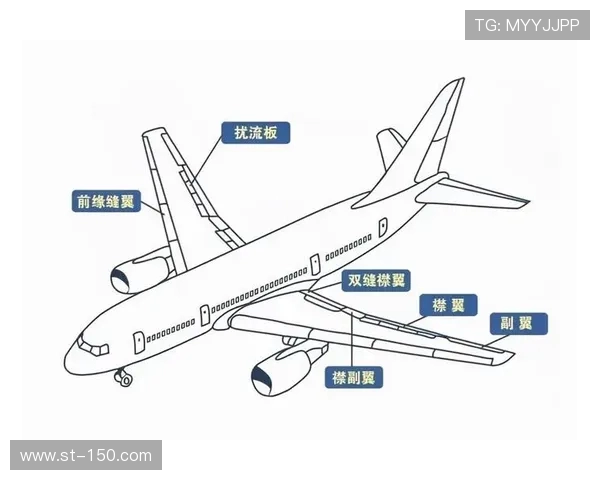 飞机机翼结构的变刚度拓扑设计